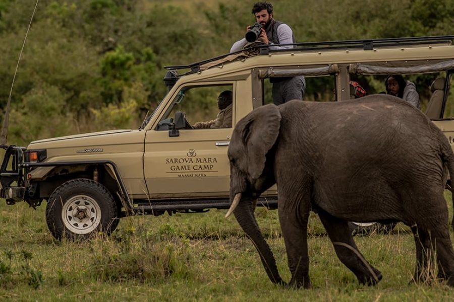 Sarova Lion Hill Game Lodge Safari