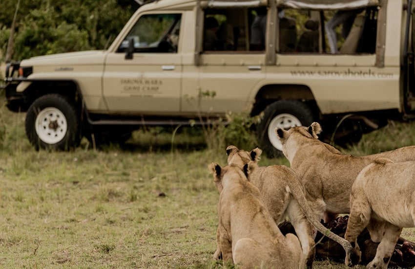 DAY 2 - Full Day at Masai Mara