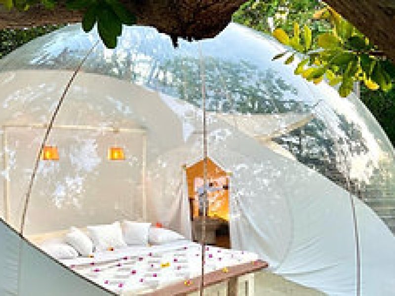 Bubble Lodges