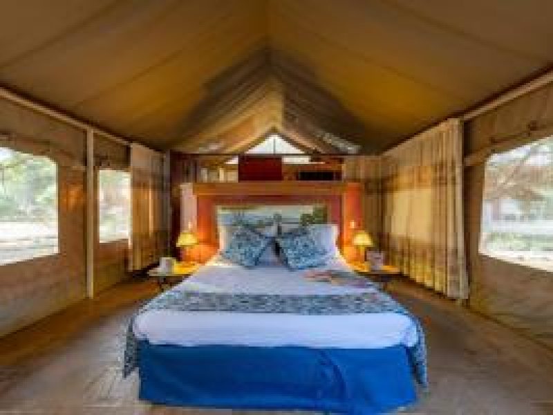 Standard Tent Sentrim Amboseli