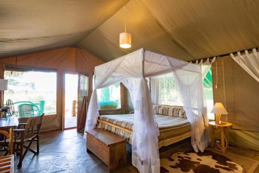 Kibo Safari Camp